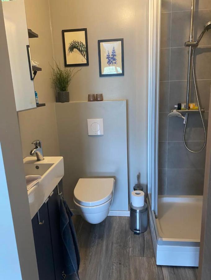 מושפלשבאר Cosy Lakeview Cabin 45 Minutes From Reykjavik מראה חיצוני תמונה