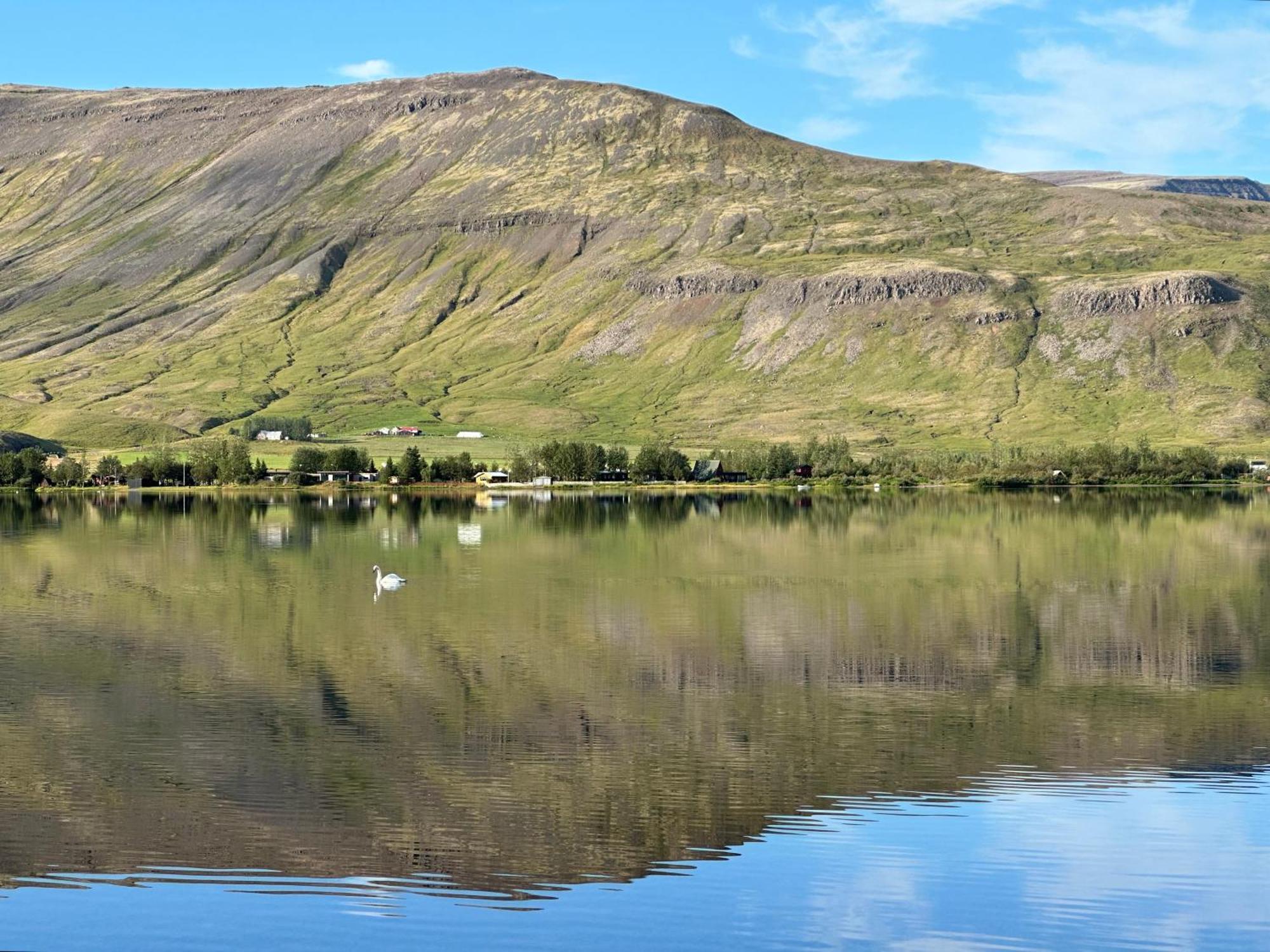 מושפלשבאר Cosy Lakeview Cabin 45 Minutes From Reykjavik מראה חיצוני תמונה